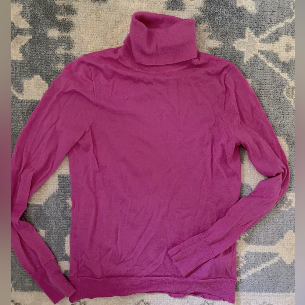 Jcrew wool turtleneck